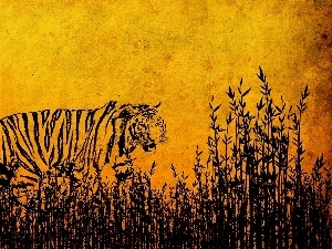Drawing, tiger