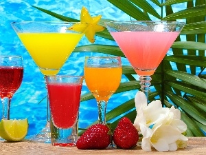 drinks, exotic