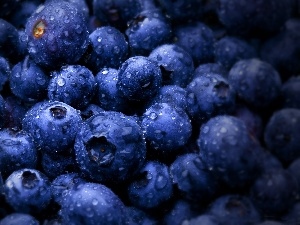 drops, American, blueberries, water, bilberry