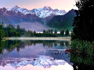 ducks, woods, Mountains, lake