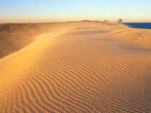 Dunes, North, Indiana, Desert, america