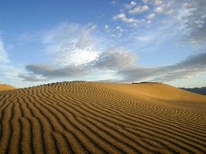 Sand, Dunes, Desert