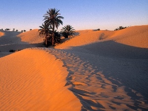 Sand, Dunes, Desert