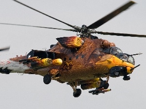 eagle, painted, helicopter, combat
