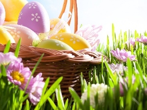 eggs, Easter, basket
