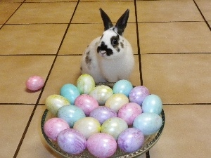 easter, eggs, Rabbit, basket