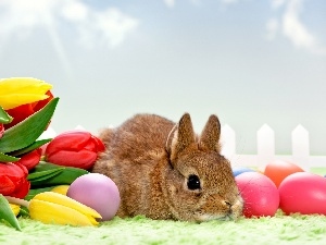 Easter, eggs, Rabbit, Tulips