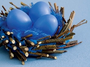 Blue, eggs, nest