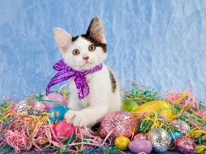 cat, eggs, Easter