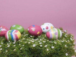 eggs, color