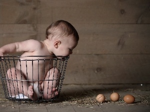 eggs, basket, little doggies, Kid