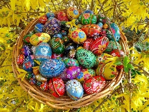 eggs, color, Easter, forsythia, basket