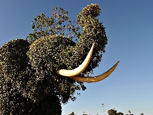 elephant, shape, Bush, canines, green