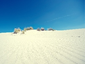 embers, Bushes, Desert, Sand