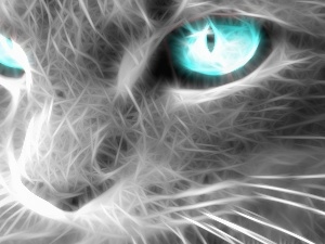 Eyes, Blue, cat, Fractulius