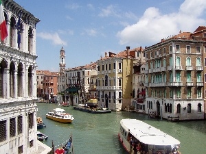 Venice, Feeds, Italy