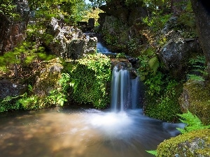 fern, boulders, forest, waterfall
