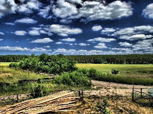 field, viewes, forest, clouds, trees