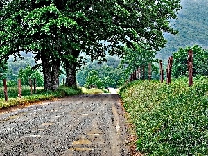 Way, field, rural