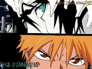 Kurosaki, Fight, Ulquirra