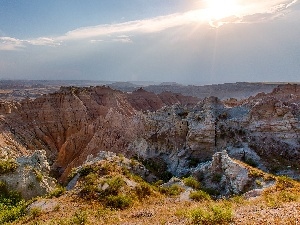 Plants, flash, sun, canyons, luminosity, Przebijaj?ce, ligh