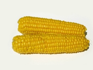 flask, corn-cob, Two