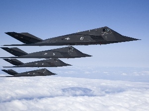 fleet, F 117 Nighthawk