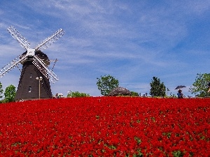 Field, Floral, Windmill