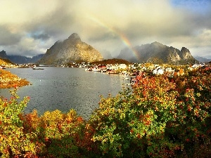 flourishing, Great Rainbows, Mountains, Bush, lake