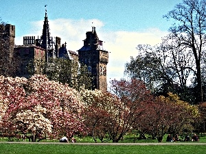 viewes, flourishing, Park, Castle, trees, Cardiff, wales