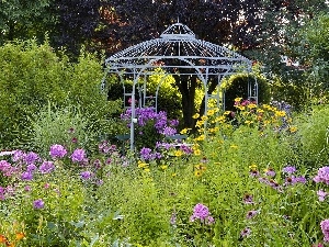 arbour, Flowers, Garden