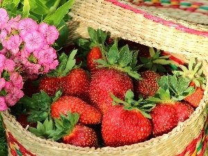 basket, Flowers, strawberries