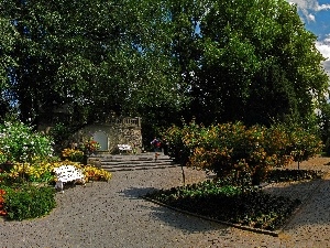 Flowers, viewes, Park, Bench, trees