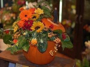 bouquet, flowers, Autumn