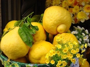 change, flowers, lemons