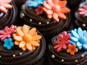 Flowers, color, chocolate, Cookies