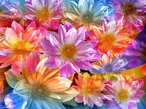 Flowers, color