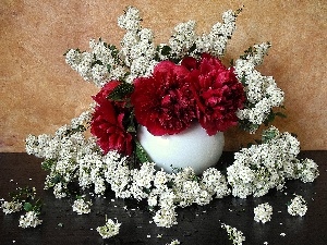 flowers, White, composition, Peonies