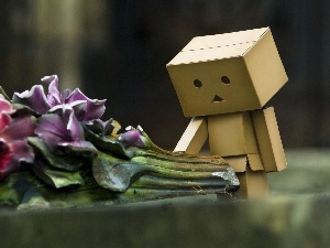 Flowers, Danbo