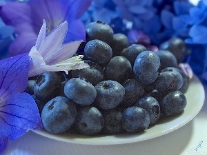 dish, Flowers, blueberries