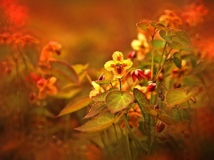 Flowers, Red, little doggies, Yellow