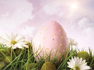 Flowers, grass, easter, egg