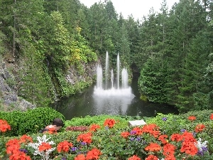 Flowers, forest, fountain, lake