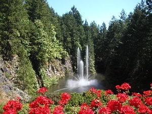 Flowers, Red, The wooded, fountain, mountains
