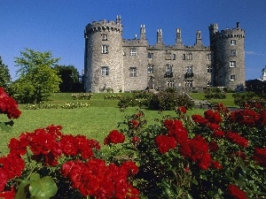 Garden, Flowers, Castle