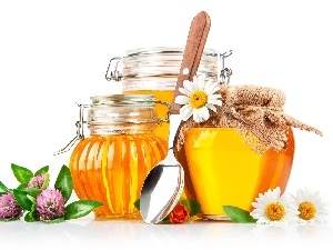 Jars, Flowers, honey