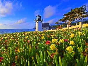 Flowers, sea, Lighthouse, maritime