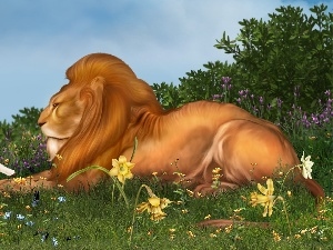 Flowers, Meadow, Lion, sheep