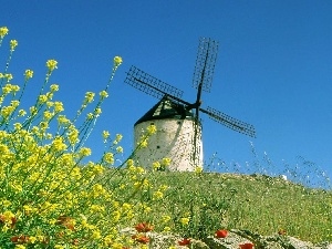 Meadow, Flowers, Windmill