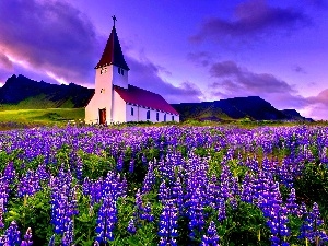 Flowers, Church, Mountains, Meadow